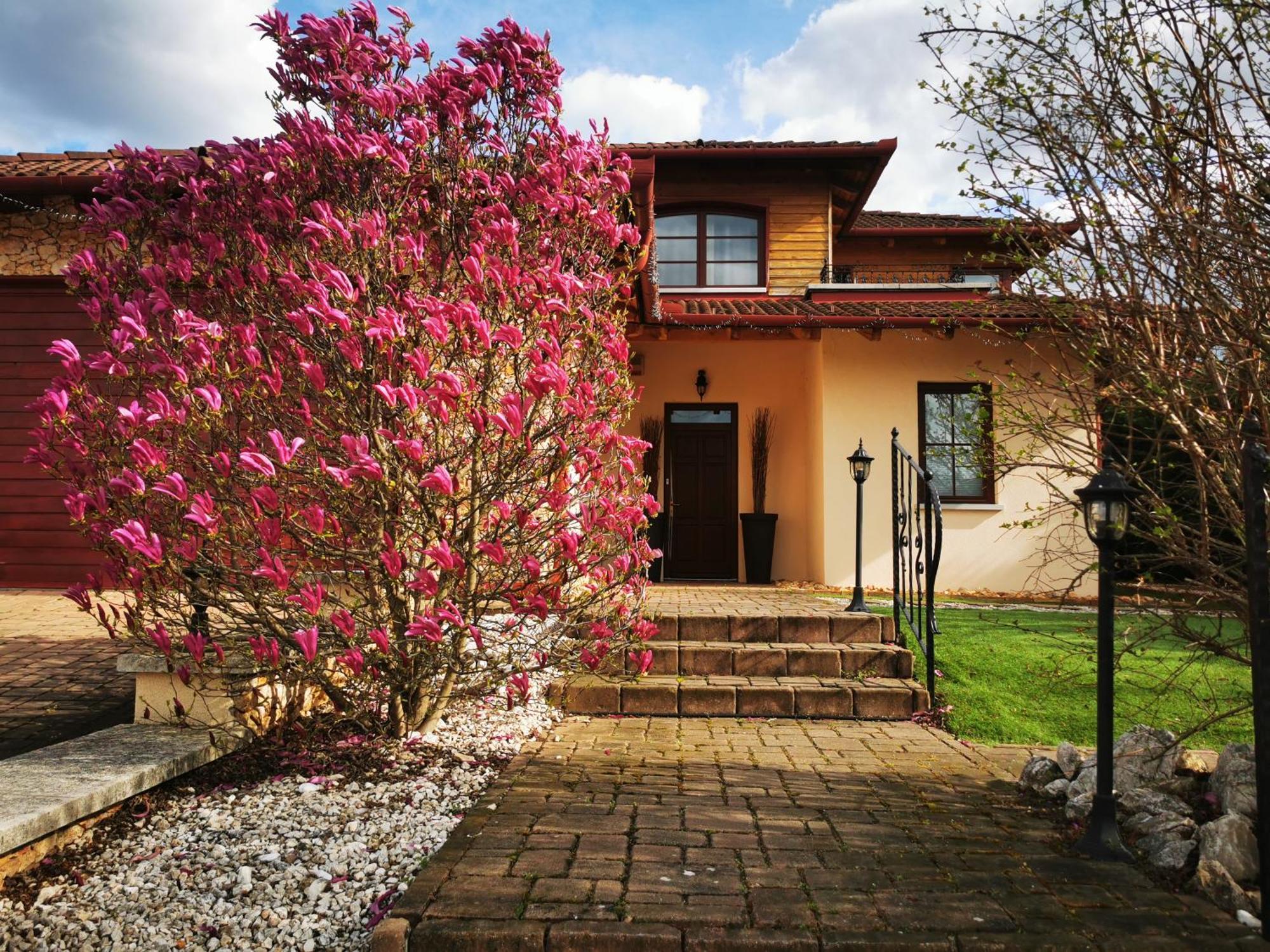 Apartamento Luxury Basement In The Surrounding Of Budapest Mogyoród Exterior foto